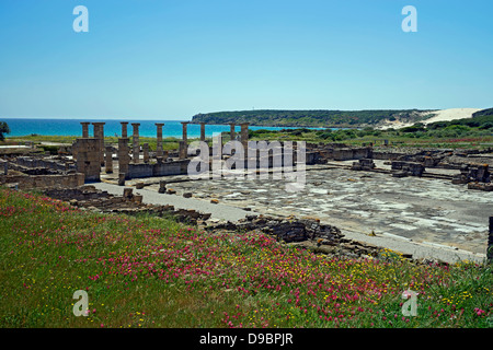Baelo Claudia, Bolonia, römische Archäologie, ruinas romanas, tarifa Stockfoto