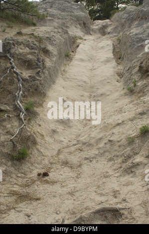 Wagenspuren der Oregon Trail Richtung Westen in der Nähe von Guernsey, Wyoming. Digitale Fotografie Stockfoto