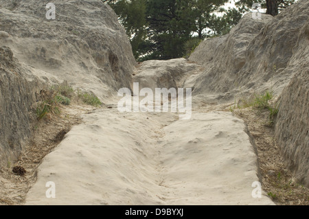 Wagenspuren der Oregon Trail Richtung Westen in der Nähe von Guernsey, Wyoming. Digitale Fotografie Stockfoto
