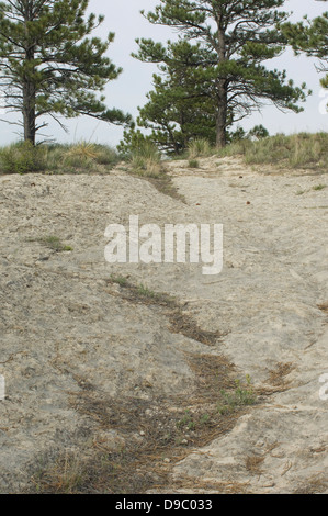 Wagenspuren der Oregon Trail in der Nähe von Guernsey, Wyoming. Digitale Fotografie Stockfoto