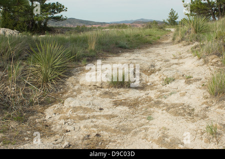 Wagenspuren der Oregon Trail in der Nähe von Guernsey, Wyoming. Digitale Fotografie Stockfoto