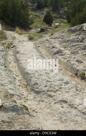 Wagenspuren der Oregon Trail in der Nähe von Guernsey, Wyoming. Digitale Fotografie Stockfoto