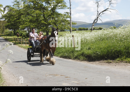 Zigeuner fahren ihre Pferde "blinkende Lane" oder "mad Meile" zu zeigen, um Käufer in Appleby Horse Fair, in Cumbria, England Stockfoto