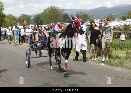 Zigeuner fahren ihre Pferde auf dem "blinkende Lane" oder "mad Meile" zu zeigen, um Käufer in Appleby Horse Fair, in Cumbria, England Stockfoto