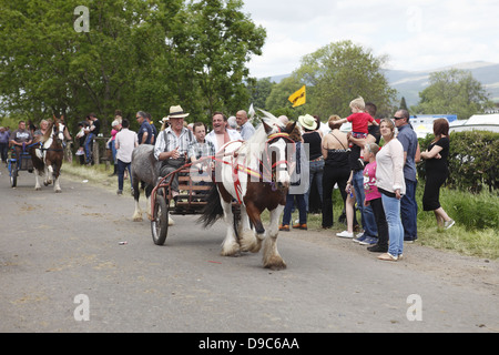 Zigeuner fahren ihre Pferde auf dem "blinkende Lane" oder "mad Meile" zu zeigen, um Käufer in Appleby Horse Fair, in Cumbria, England Stockfoto