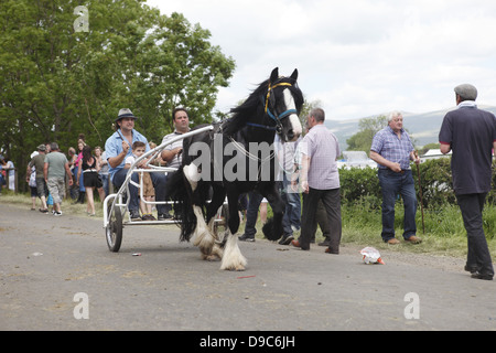 Zigeuner fahren ihre Pferde auf dem "blinkende Lane" oder "mad Meile" zu zeigen, um Käufer in Appleby Horse Fair, in Cumbria, England Stockfoto