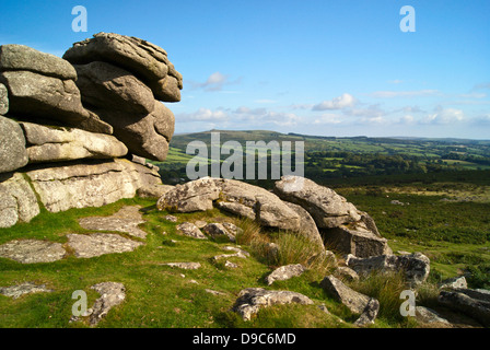 Pew Tor, Dartmoor, an einem Sommernachmittag Stockfoto