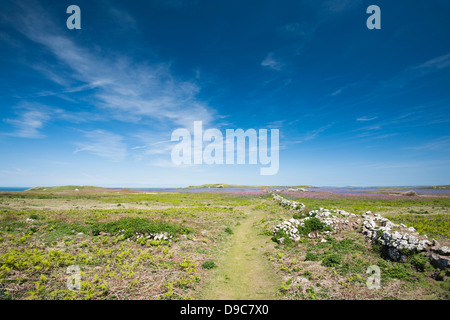 Blick über die Insel Skomer im Frühjahr, South Pembrokeshire, Wales, Vereinigtes Königreich Stockfoto