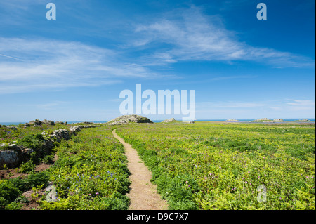 Blick über die Insel Skomer im Frühjahr, South Pembrokeshire, Wales, Vereinigtes Königreich Stockfoto