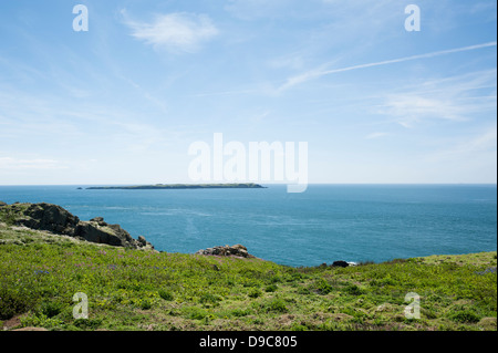 Blick vom Skomer Island Skokholm, South Pembrokeshire, Wales, Vereinigtes Königreich Stockfoto