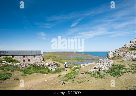 Der alte Hof auf der Insel Skomer im Frühjahr, South Pembrokeshire, Wales, Vereinigtes Königreich Stockfoto