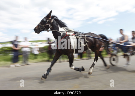 Zigeuner fahren ihre Pferde auf dem "blinkende Lane" oder "mad Meile" zu zeigen, um Käufer in Appleby Horse Fair, in Cumbria, England Stockfoto