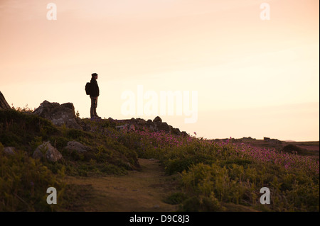 Silhouette Mann in der Dämmerung auf der Insel Skomer im Frühjahr, South Pembrokeshire, Wales, Vereinigtes Königreich Stockfoto