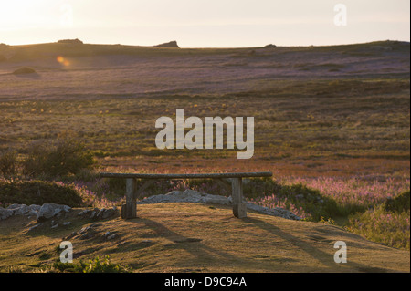 Abenddämmerung Blick auf der Insel Skomer im Frühjahr, South Pembrokeshire, Wales, Vereinigtes Königreich Stockfoto