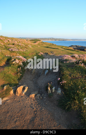 Blick vom Godrevy in Richtung Hayle, auf dem Küstenpfad North Cornwall, England, UK Stockfoto