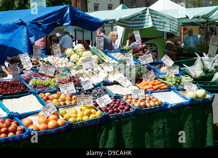 Obst und Gemüse Stand auf Hexham Bauernmarkt. Stockfoto