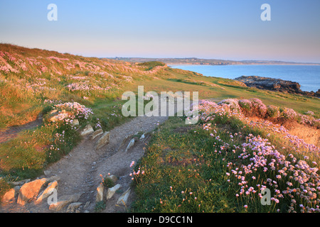 Blick vom Godrevy in Richtung Hayle auf dem Küstenweg, North Cornwall, England, UK Stockfoto