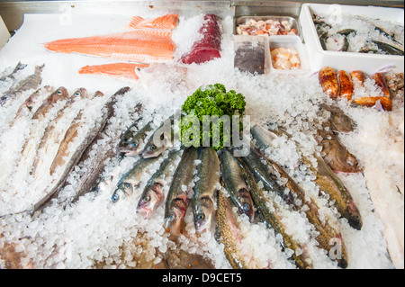 Fisch in Eis an Fischhändler Stand Stockfoto