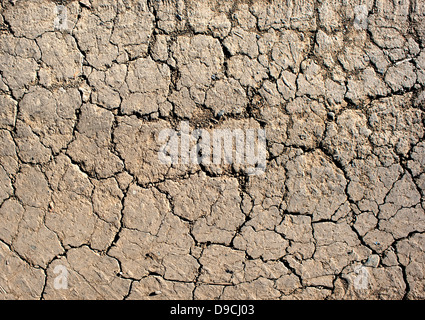 Trockene rissige Erde in Wüste. Hintergrund. Close-up Stockfoto