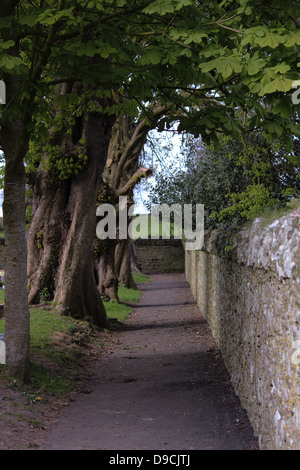 Das Bild zeigt eine Steinmauer in Monasterboice, Drogheda, Co. Louth, Irland. Stockfoto