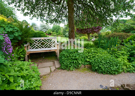 Eine Parkbank unter einem Baum auf dem walled Garden in Wallington Hall in Northumberland. National Trust-Eigenschaft. Stockfoto