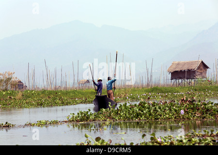 Zwei Fischer im Boot und Rudern unter Lotus Blätter und Blüten am Inle-See, Myanmar, Birma, Südostasien Stockfoto