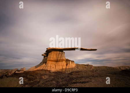 Der König der Flügel, San Juan Bandlands von New Mexico Stockfoto