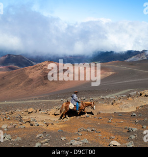 Reiterin auf die Sliding Sands Trail im Haleakala National Park auf Maui Stockfoto