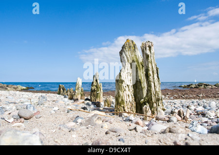 Alten Buhnen an der Ostsee Stockfoto