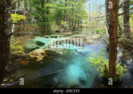 Fluss in Chubu-Sangaku Nationalpark, Präfektur Nagano Stockfoto