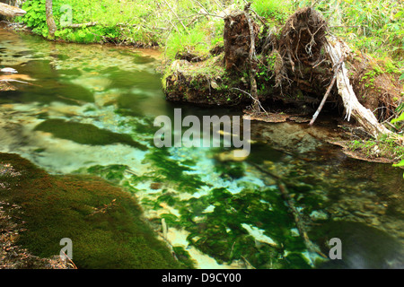 Fluss in Chubu-Sangaku Nationalpark, Präfektur Nagano Stockfoto