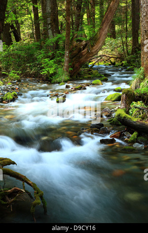 Fluss in Chubu-Sangaku Nationalpark, Präfektur Nagano Stockfoto