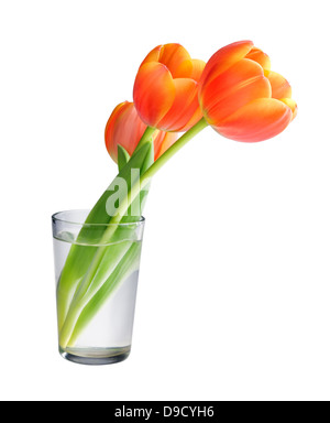 Tulpen in der Vase isoliert auf weißem Hintergrund Stockfoto