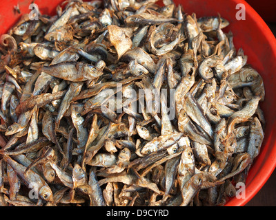 trockenen blechern Fisch auf dem freien Markt in Asien Stockfoto