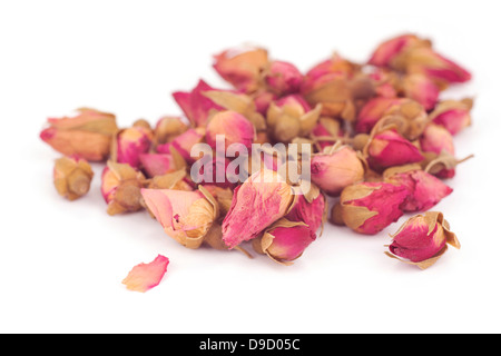 Getrocknete Rose Knospen Stockfoto