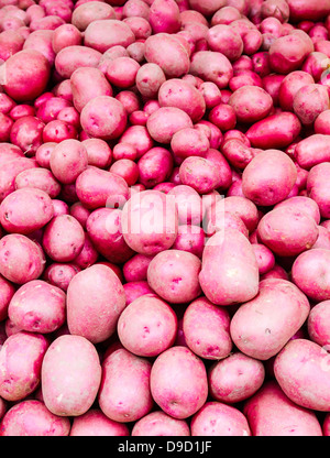 Frisch gegraben rote Kartoffeln auf dem Display auf dem Bauernmarkt Stockfoto