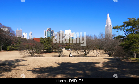 NTT Docomo Yoyogi Gebäude von Meiji Schrein inneren Garten aus gesehen Stockfoto