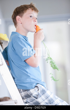 Junge Karotten essen Stockfoto