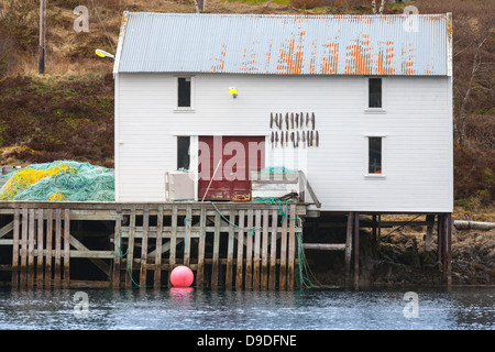 Weiße Holz Fischerei Scheune mit Stockfisch an der Wand steht am Meer in Norwegen Stockfoto