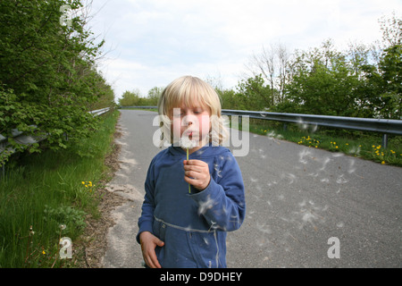 Junge mit Löwenzahn Stockfoto