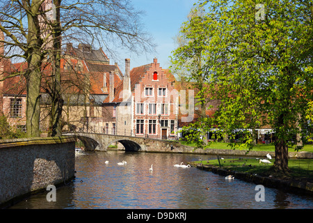 Minnewater lebendige Landschaft mit Schwänen und bunten Reflexionen über die Wasseroberfläche in einem sonnigen Tag in Brügge, Belgien. Stockfoto