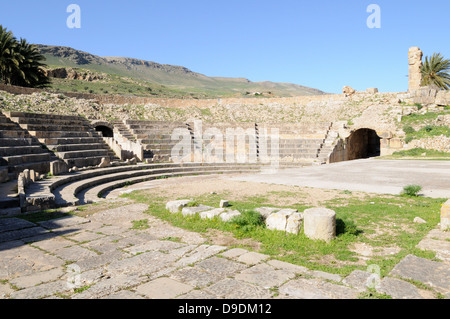 Amphitheater in den Ruinen der römischen Stadt von Bulla Regia Jendouba nördlichen Tunesien Stockfoto