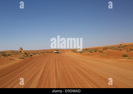 Desert Road im Wahiba Sands, Al Mintrib, Oman Stockfoto