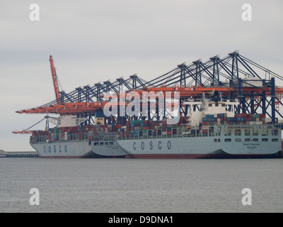 Zwei große Cosco Container Carrier an der Euromax Containerterminals auf der Maasvlakte 2 im Hafen von Rotterdam Stockfoto