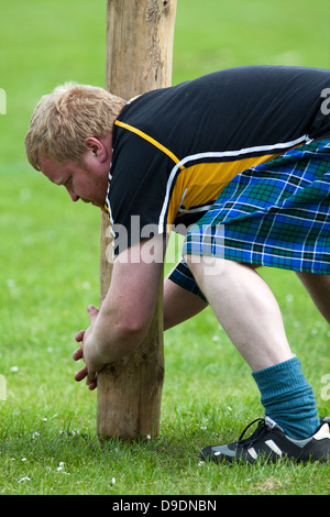 Man vorbereitet einen Baumstamm werfen bei Oldmeldrum Highland Games, 15. Juni 2013 Stockfoto