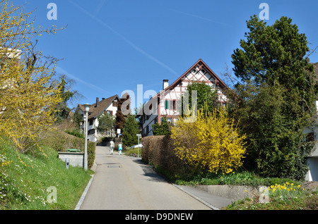 Wohngebiet in Richterswil, Zürich, Schweiz. Stockfoto