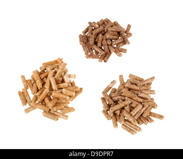 Verschiedene Arten von Pellets Eiche Kiefer Tanne Stockfoto