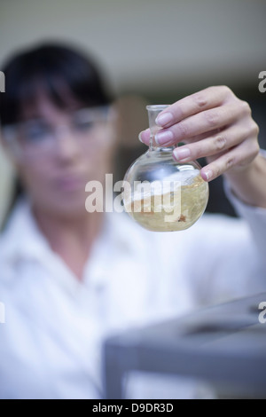 Önologe mischen während der Probe Tests im Labor Stockfoto