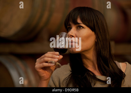 Probenahme-Wein in Fässern Stockfoto