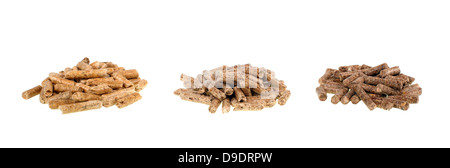 Verschiedene Arten von Pellets Eiche Kiefer Tanne Stockfoto